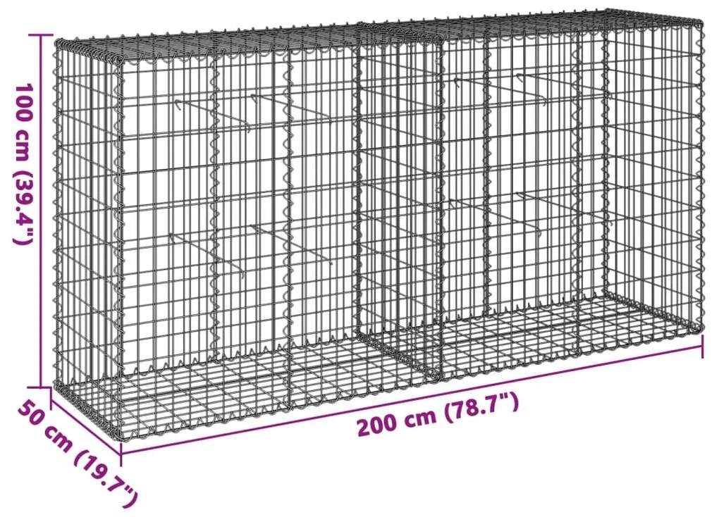 Συρματοκιβώτιο με Κάλυμμα 200x50x100εκ. από Γαλβανισμένο Χάλυβα - Ασήμι