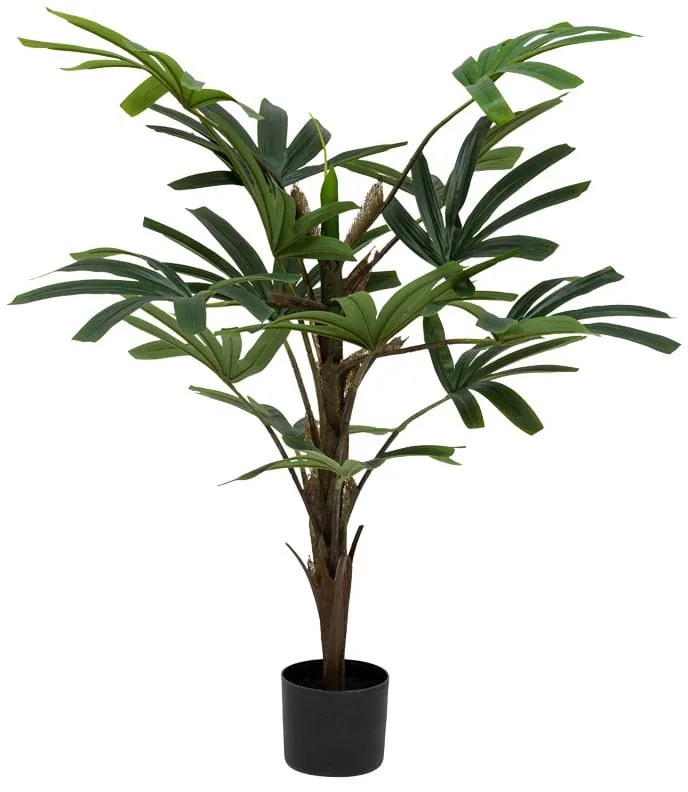 Φυτό σε γλάστρα Emeric pakoworld 15x13x120εκ
