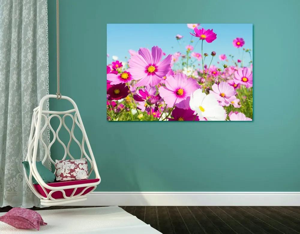 Εικόνα λιβάδι με ανοιξιάτικα λουλούδια - 120x80