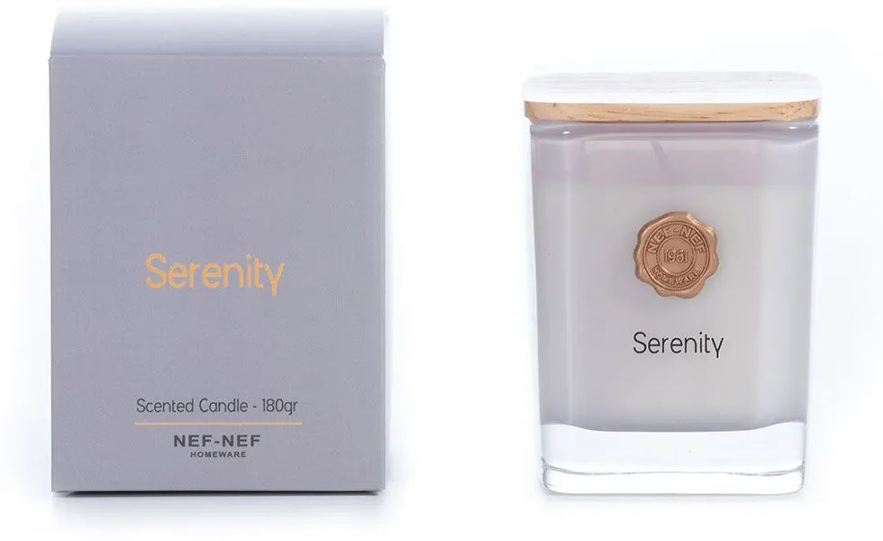 Αρωματικό Κερί Serenity 180gr Grey Nef-Nef Homeware