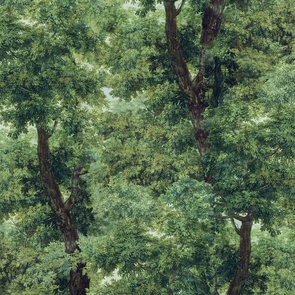 Ταπετσαρία Branchy WP20785 Meadow Green MindTheGap 52x300cm