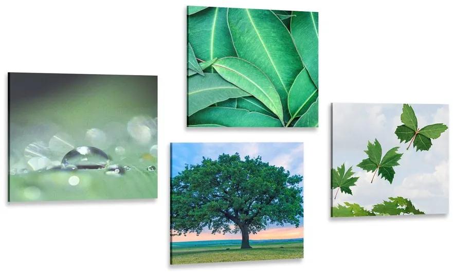 Σετ εικόνων φύση γεμάτη πράσινο - 4x 60x60