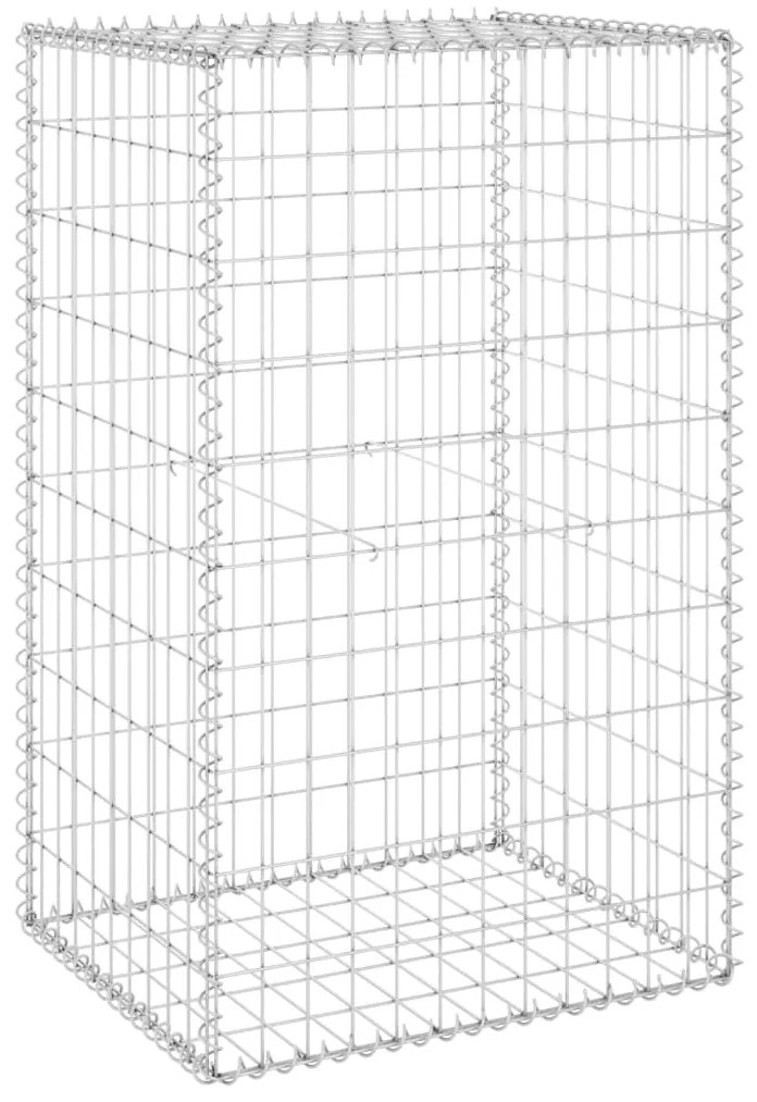 vidaXL Συρματοκιβώτιο Τοίχος 60x50x100 εκ. Γαλβαν. Χάλυβας + Καλύμματα