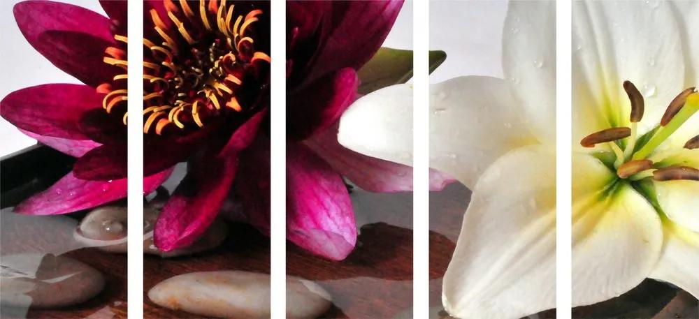 5 μέρη εικόνα λουλούδια σε ένα μπολ με πέτρες Zen