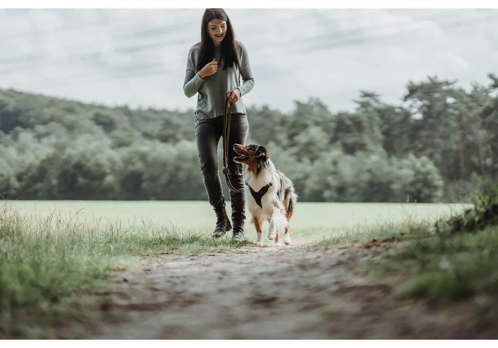 Λουρί Σκύλου Hunter Καφέ 2 m Ρυθμιζόμενο Δέρμα