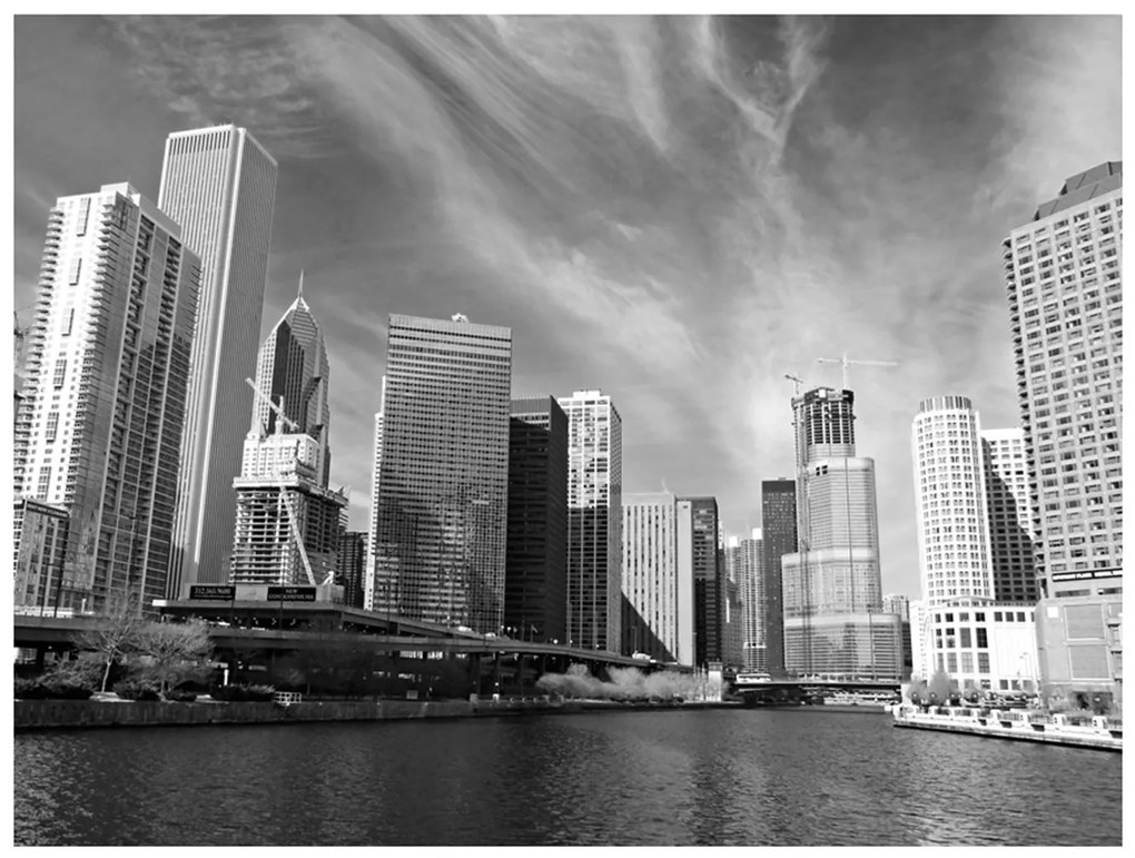 Φωτοταπετσαρία - Chicago skyline (black and white) 200x154