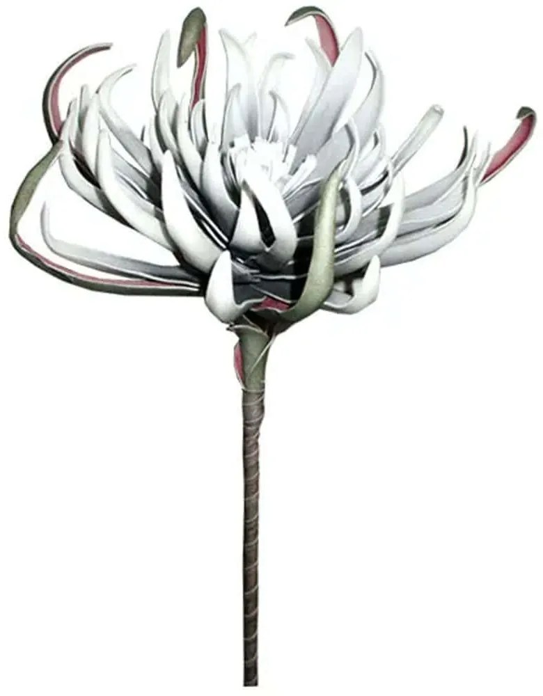 Τεχνητό Λουλούδι Αγκινάρα 00-1530-6 82cm Grey Marhome Foam