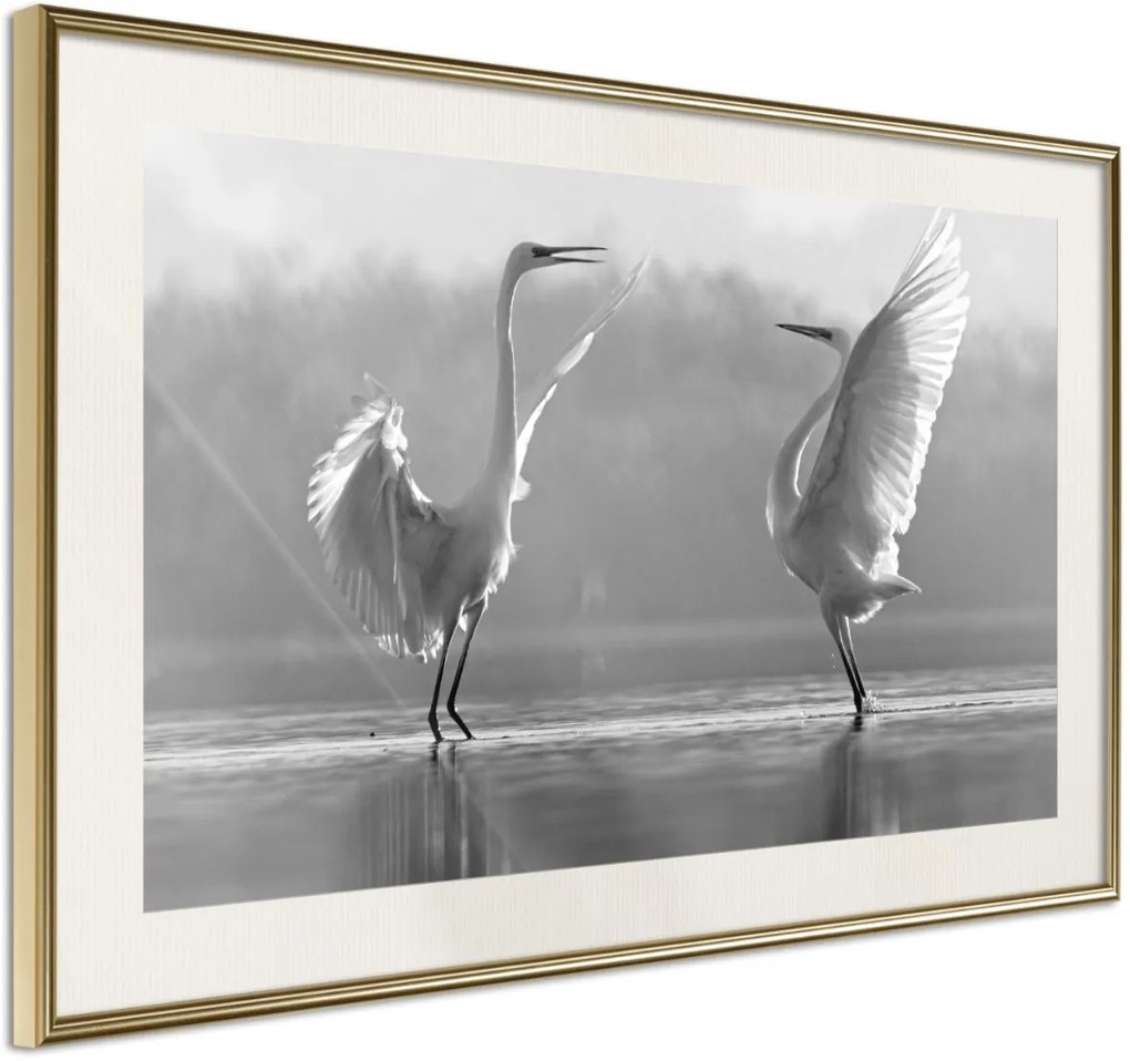 Αφίσα - Black and White Herons - 30x20 - Χρυσό - Με πασπαρτού