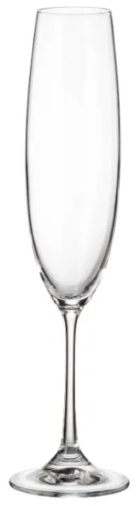 Ποτήρι Σαμπάνιας 250ml Milvus - Crystal Bohemia - 6 ΤΜΧ