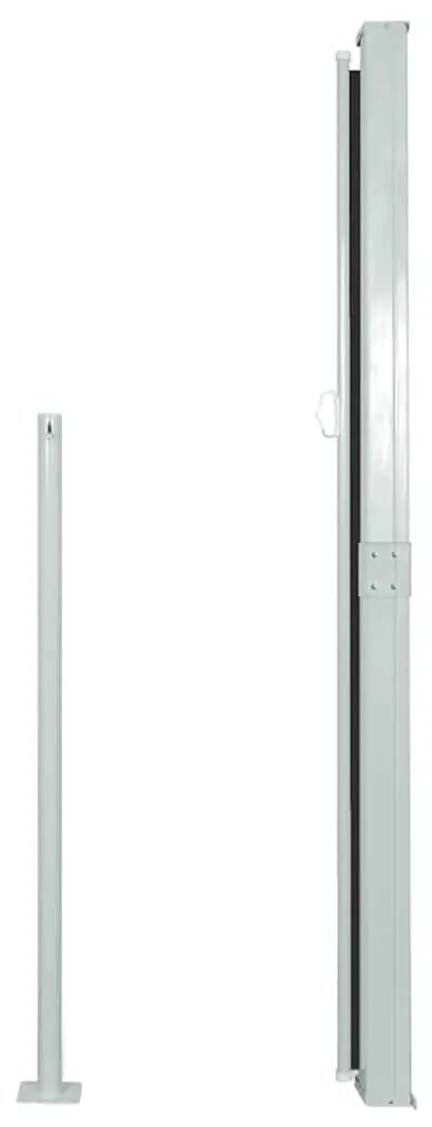 vidaXL Σκίαστρο Πλαϊνό Συρόμενο Βεράντας Μαύρο 170 x 300 εκ.