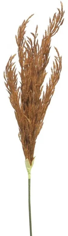 Supergreens Τεχνητό Κλαδί Pampas Καφέ 124 εκ