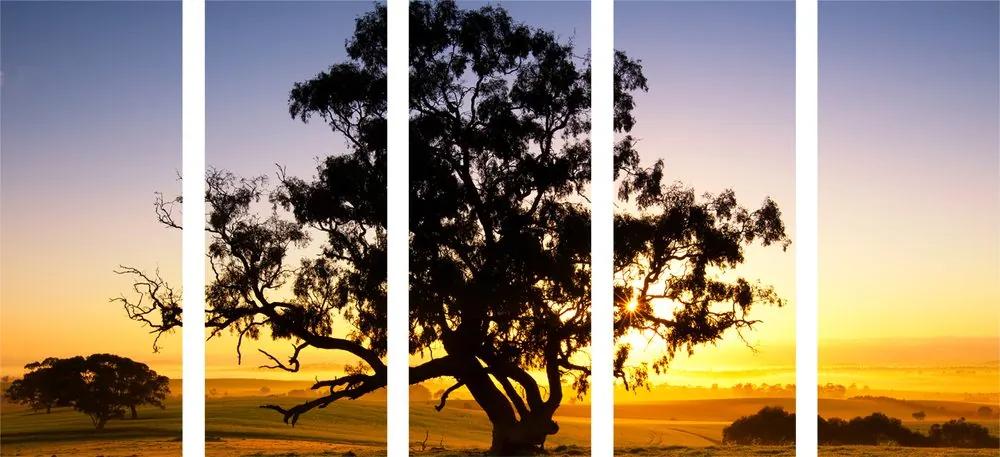 Εικόνα 5 μερών μοναχικό δέντρο στο ηλιοβασίλεμα