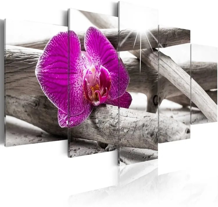 Πίνακας - Orchid on beach - 200x100