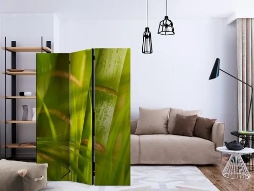 Διαχωριστικό με 3 τμήματα - bamboo - nature zen [Room Dividers]