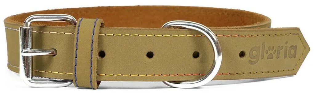 Κολλάρο Σκύλου Gloria Oasis Πράσινο (35 x 1,2 cm)