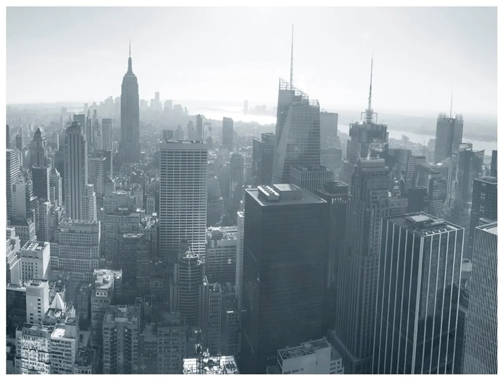 Φωτοταπετσαρία - New York City skyline black and white 400x309