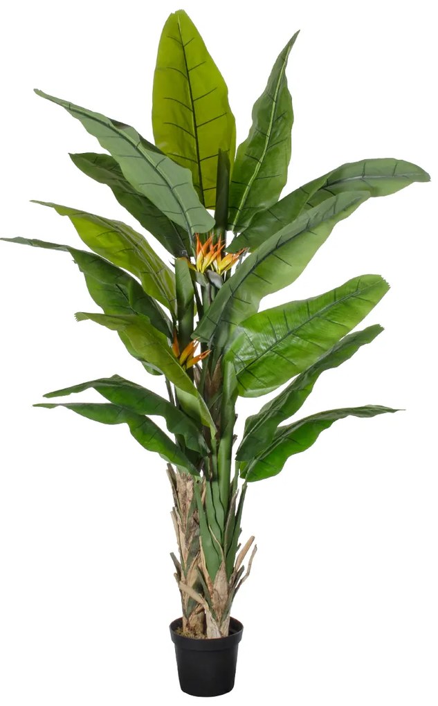 GloboStar® Artificial Garden BANANA STRELITZIA REGINAE 20381 Τεχνητό Διακοσμητικό Φυτό  Μπανανιά - Στρελίτσια - Πουλί του Παραδείσου Υ230cm