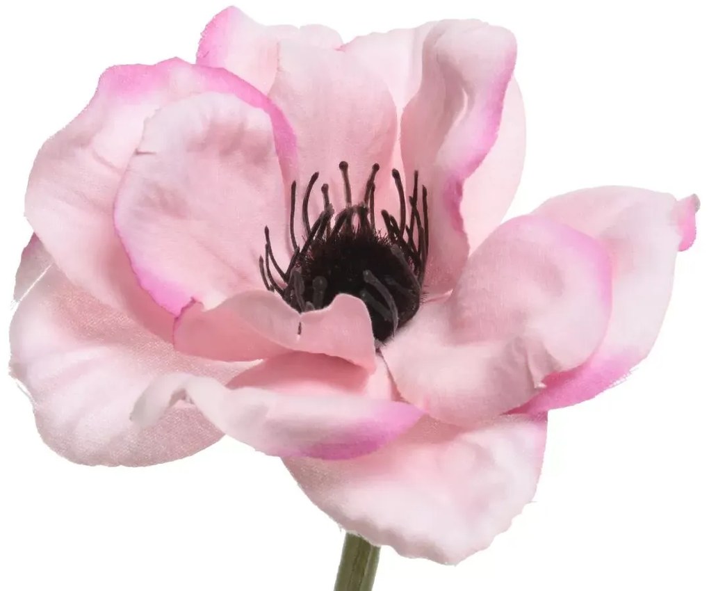 Beauty Home ΑΝΑΕΜΩΝΗ 57 CM