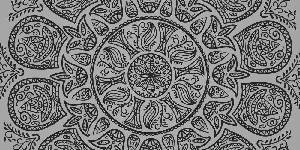 Εικόνα Mandala με αφηρημένο φυσικό μοτίβο σε μαύρο & άσπρο - 100x50