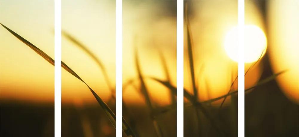 Εικόνα 5 μερών που δύει ο ήλιος στο γρασίδι