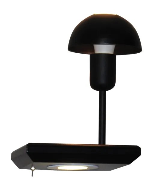 Φωτιστικό Τοίχου - Απλίκα HL-3596 2SR Rowan Black - 77-4164 - 21W - 50W,51W - 100W - 77-4164