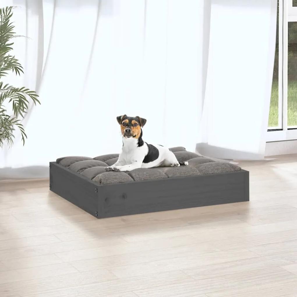 Κρεβάτι Σκύλου Γκρι 51,5 x 44 x 9 εκ. από Μασίφ Ξύλο Πεύκου - Γκρι