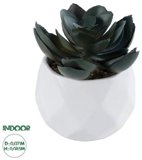 Διακοσμητικό Φυτό Παχύφυτο Εχεβέρια Artificial Garden 20990 Globostar 20990