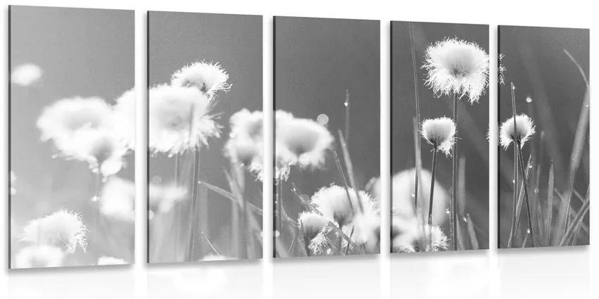 Εικόνα 5 μερών βαμβακερό γρασίδι σε μαύρο & άσπρο - 100x50