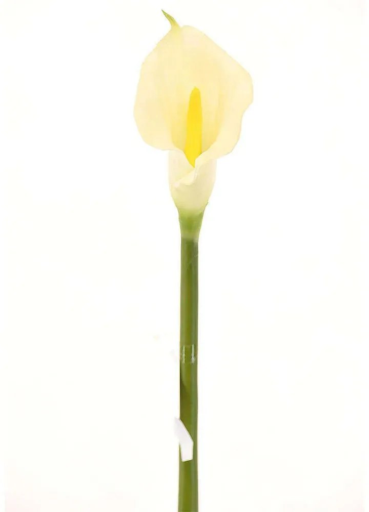 Τεχνητό Κλωνάρι Κάλλα 1030-7 76cm White Supergreeens Polyethylene
