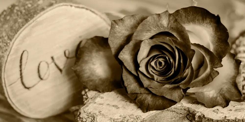 Εικόνα τριαντάφυλλο σε σέπια αγάπη - 120x60