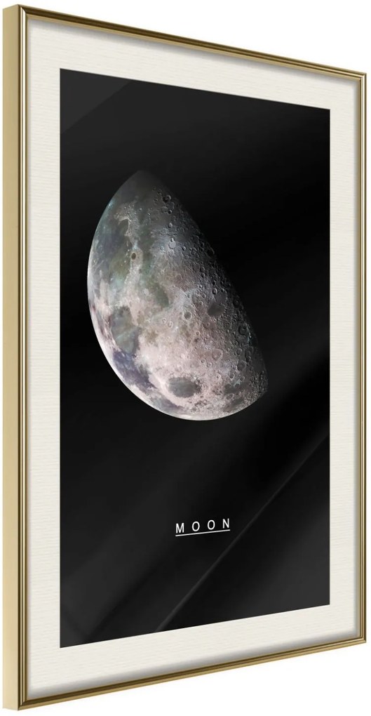 Αφίσα - The Solar System: Moon - 20x30 - Χρυσό - Με πασπαρτού