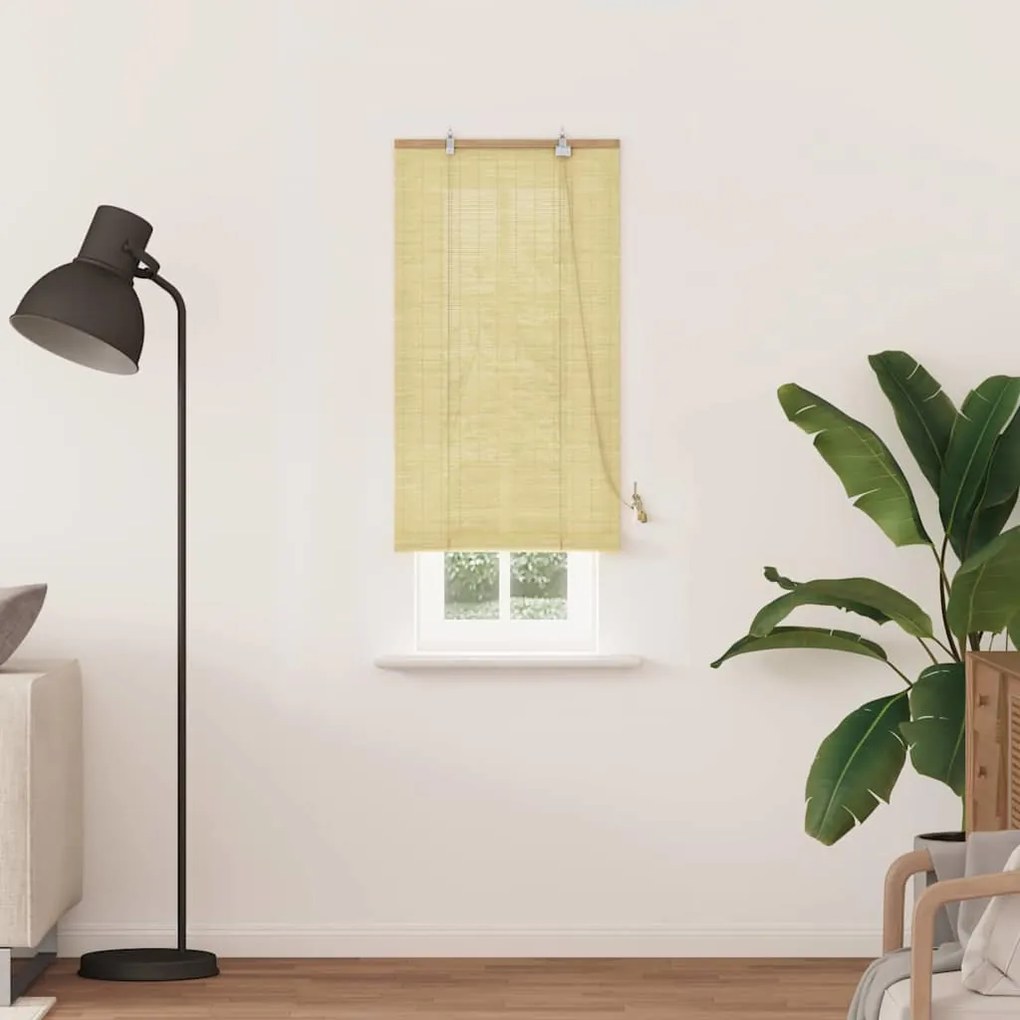 vidaXL Ρολά και Σκίες Παραθύρων Φυσικό 60 x 220 εκ. Μπαμπού