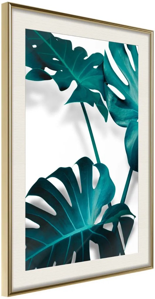 Αφίσα - Turquoise Monstera II - 20x30 - Χρυσό - Με πασπαρτού