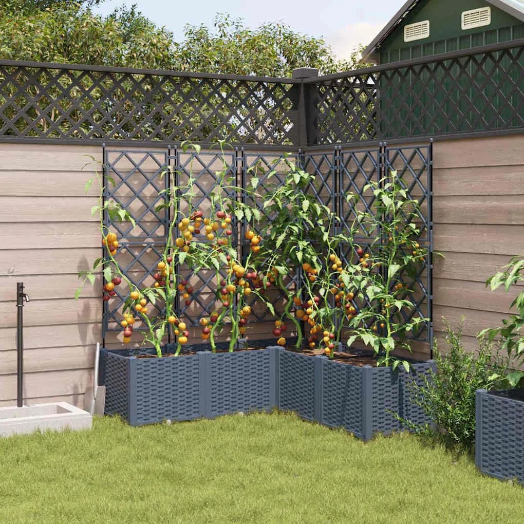 vidaXL Κηποτινάκι με Τρέλα 5 pcs Ανοιχτό γκρι 120 x 120 x 143 εκ. PP