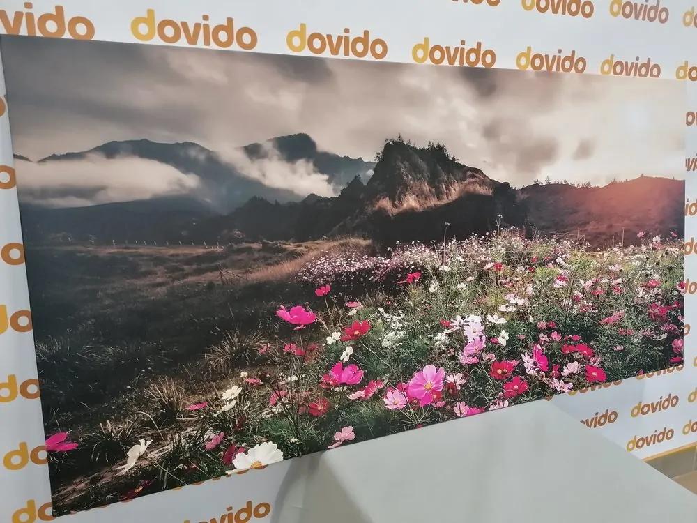 Εικόνα λιβάδι με ανθισμένα λουλούδια - 120x60