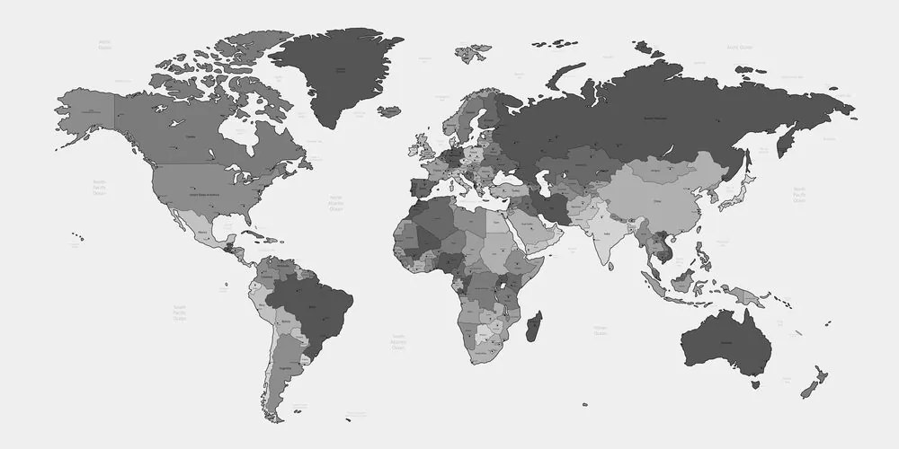 Εικόνα σε φελλό λεπτομερής παγκόσμιος χάρτης σε ασπρόμαυρο σχέδιο - 120x60  color mix