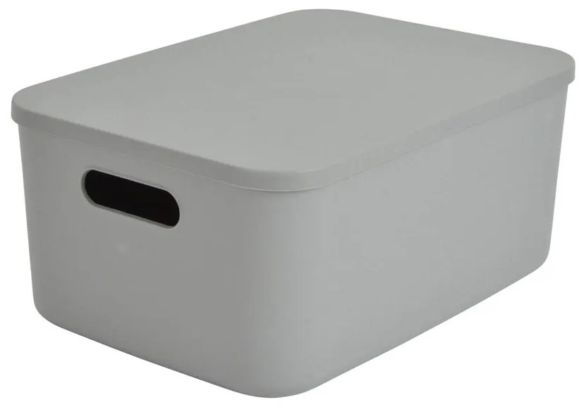 Κουτί Αποθήκευσης (34.9x24.8x15.5) L-C Gris 6RAN841GR