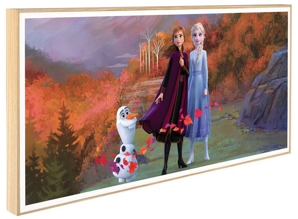 Παιδικό Κάδρο Elsa and Anna KDP157 30x60cm