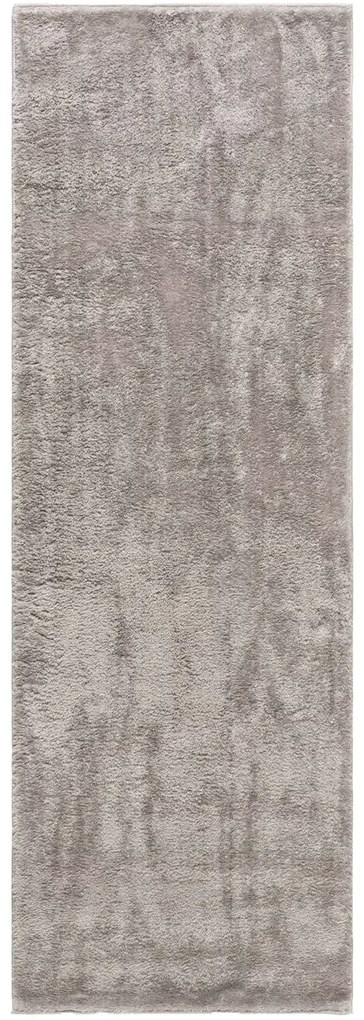 RABBIT D.GREY D.GREY