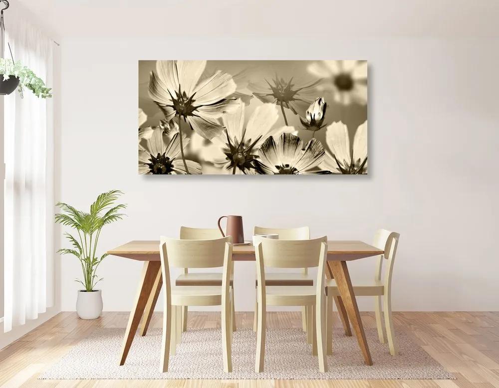 Εικόνα λουλούδια κήπου σε σχέδιο σέπια - 100x50