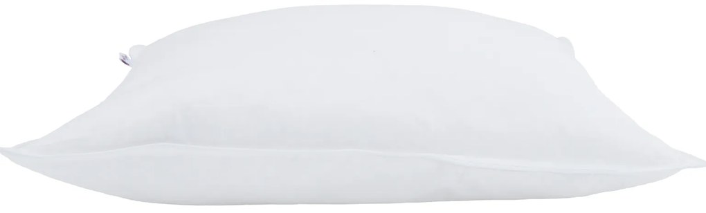 vidaXL Μαξιλάρια 2 pcs Λευκό 65 x 65 εκ. 130gsm 100% βαμβάκι