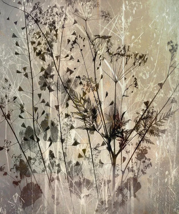Εικονογράφηση Field bouquet, Nel Talen