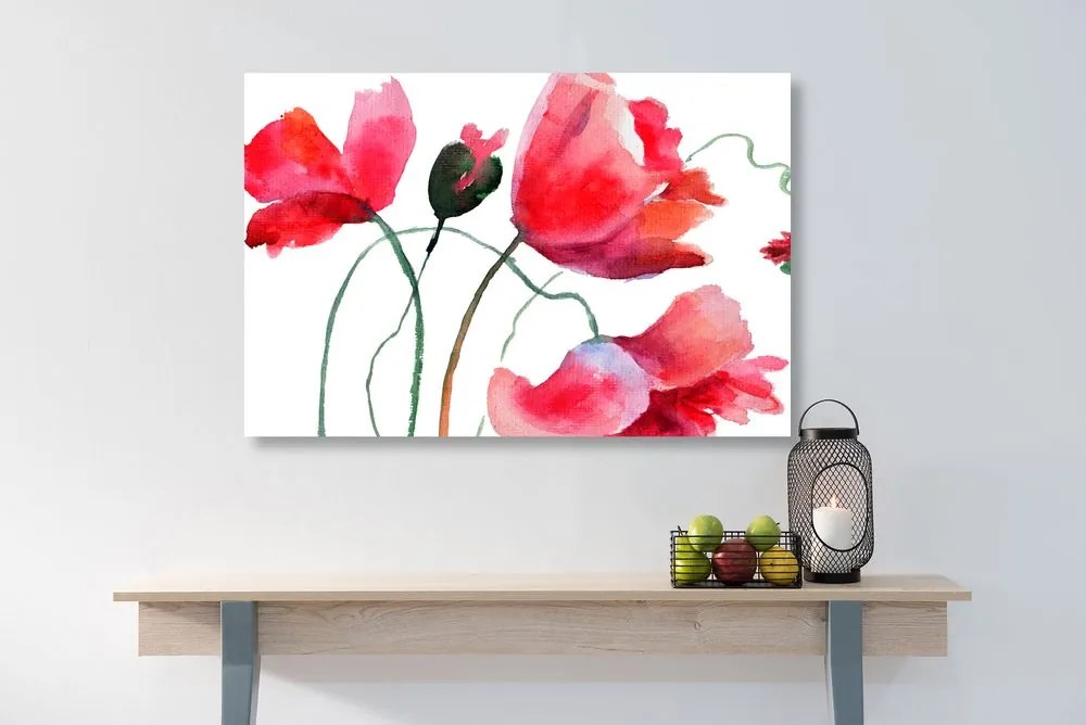 Εικόνα μοναδικά λουλούδια παπαρούνας - 60x40