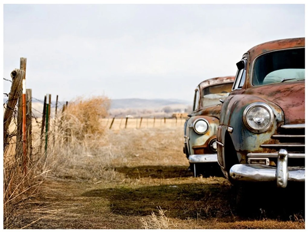 Φωτοταπετσαρία - Two old, American cars 250x193