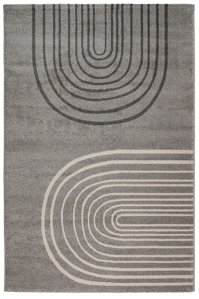 Χαλί (160x230) Βιοκαρπέτ Altalene 62417 895