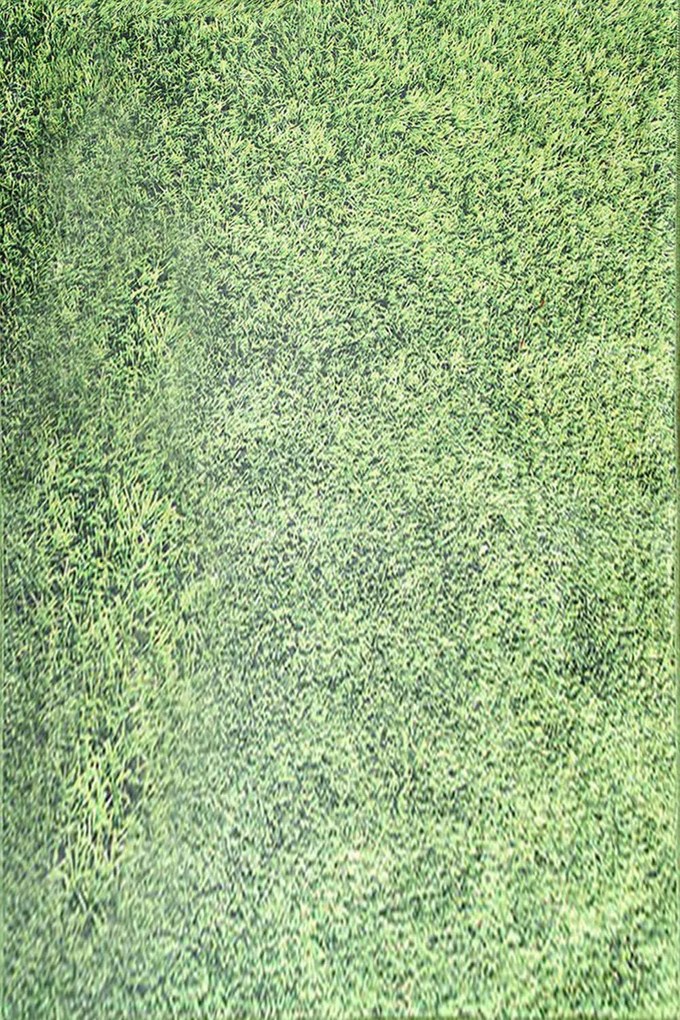 Χαλί Grass Green Conceptum Hypnose 160X230cm