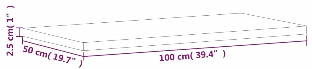 vidaXL Πάγκος Μπάνιου 100x50x2,5 εκ. από Μασίφ Ξύλο Οξιάς