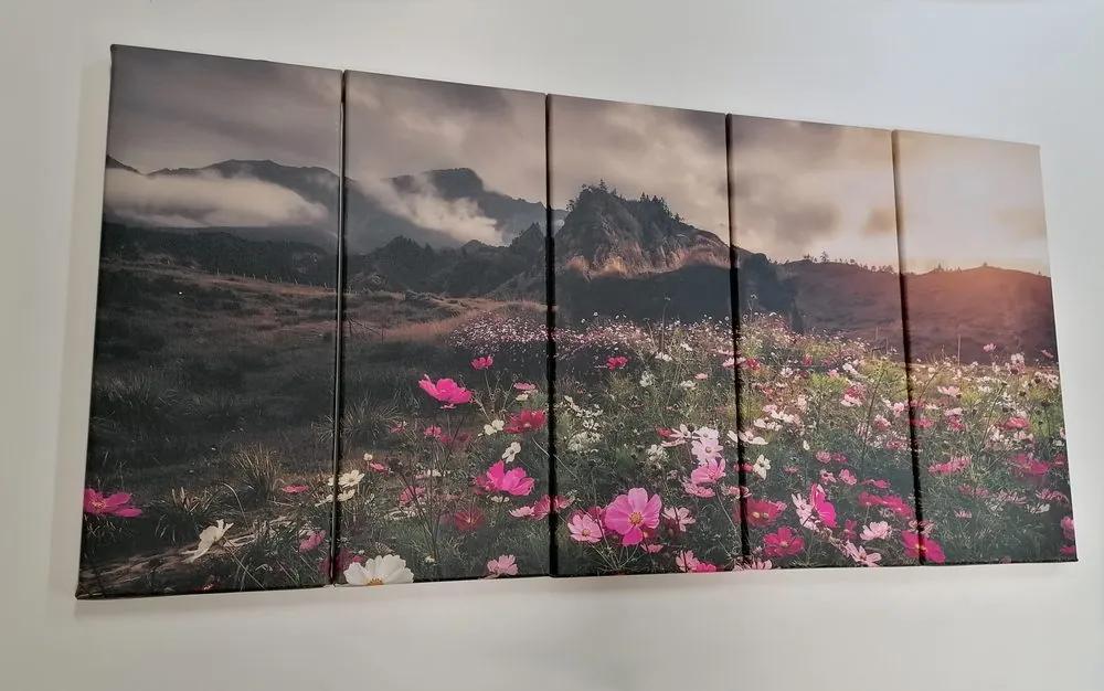 5 μέρη εικόνα λιβάδι ανθισμένα λουλούδια - 200x100