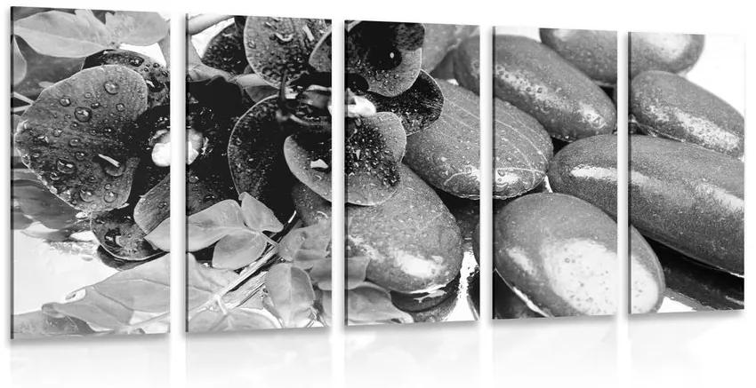 Εικόνα 5 τμημάτων ανθισμένης ορχιδέας και πέτρες ευεξίας σε μαύρο & άσπρο - 100x50