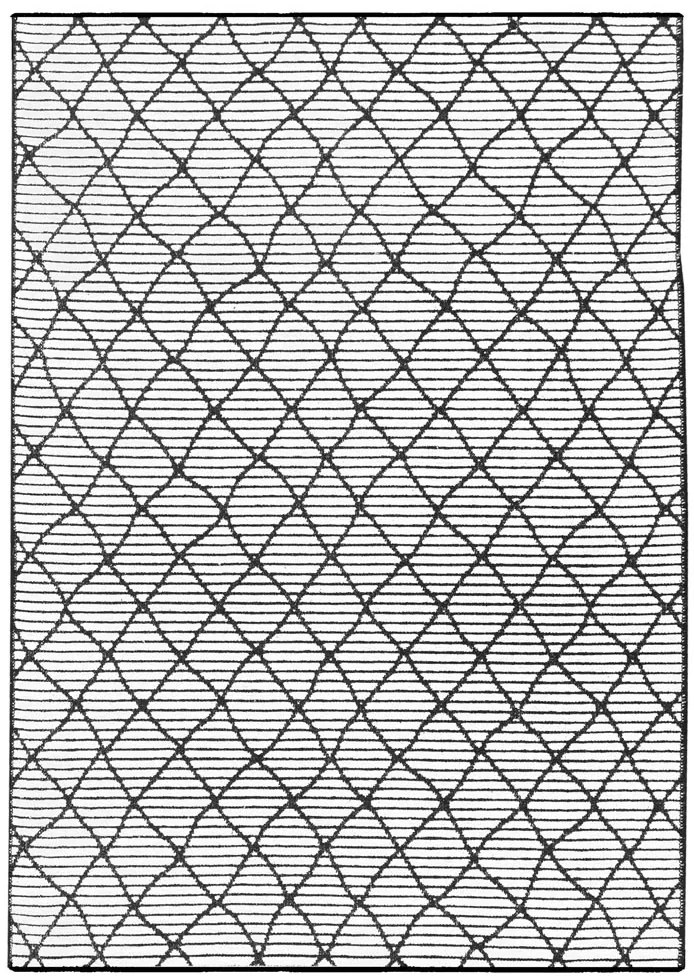 Χαλί ezzo Weave 4201-Leuko-160x230